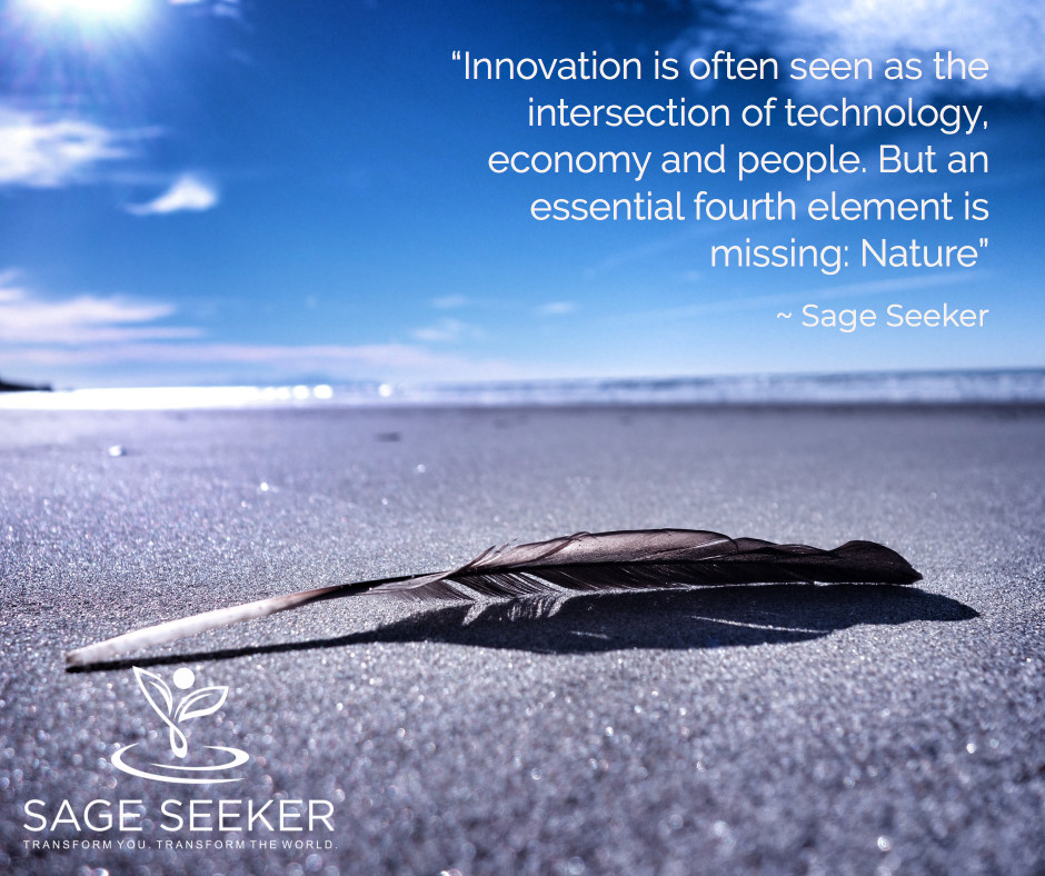 Perspectives and Rituals for Healthy Innovation by Sage Seeker CO Barbara Wittmann Don Morse